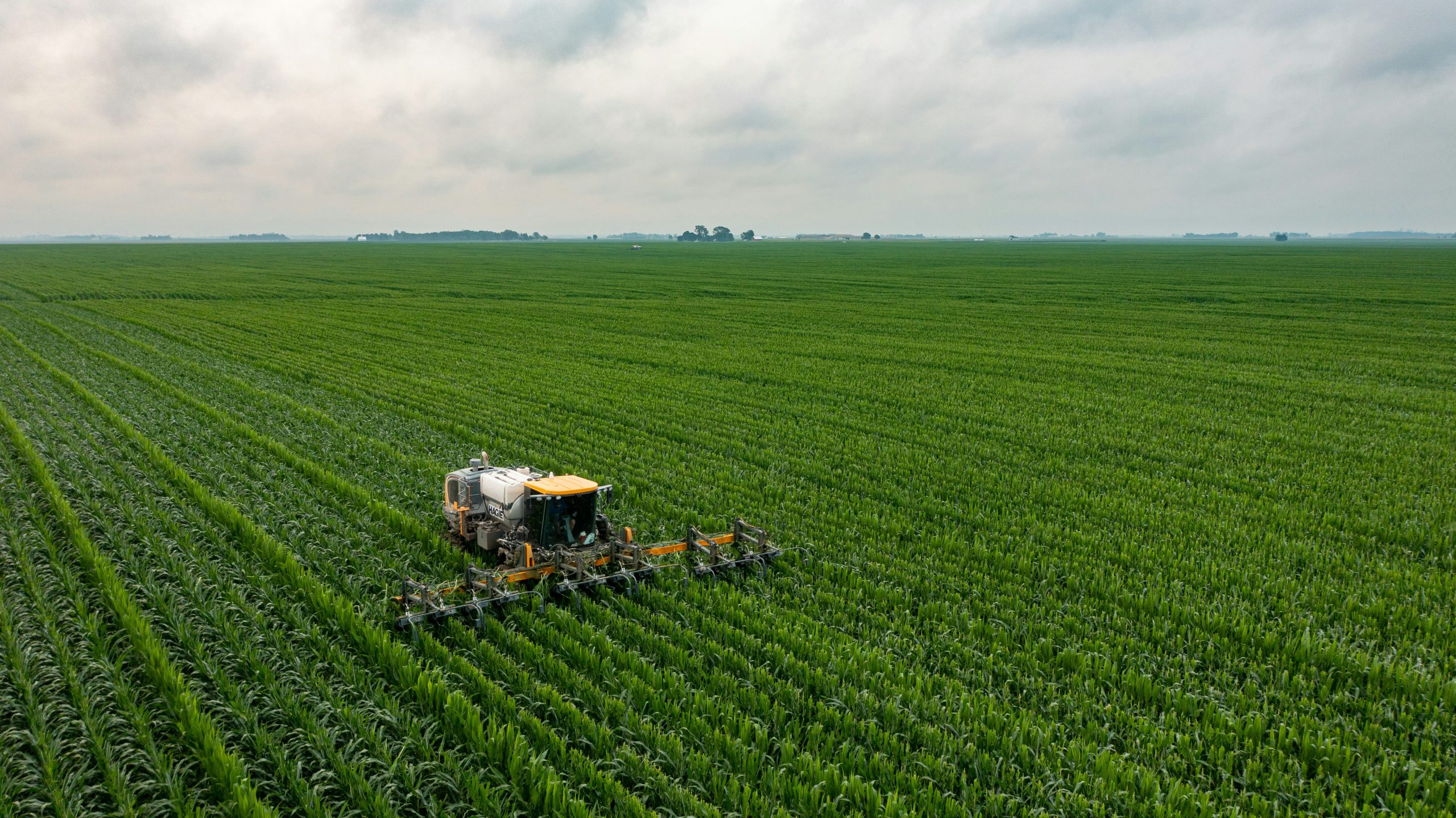 Agriculture and forestry