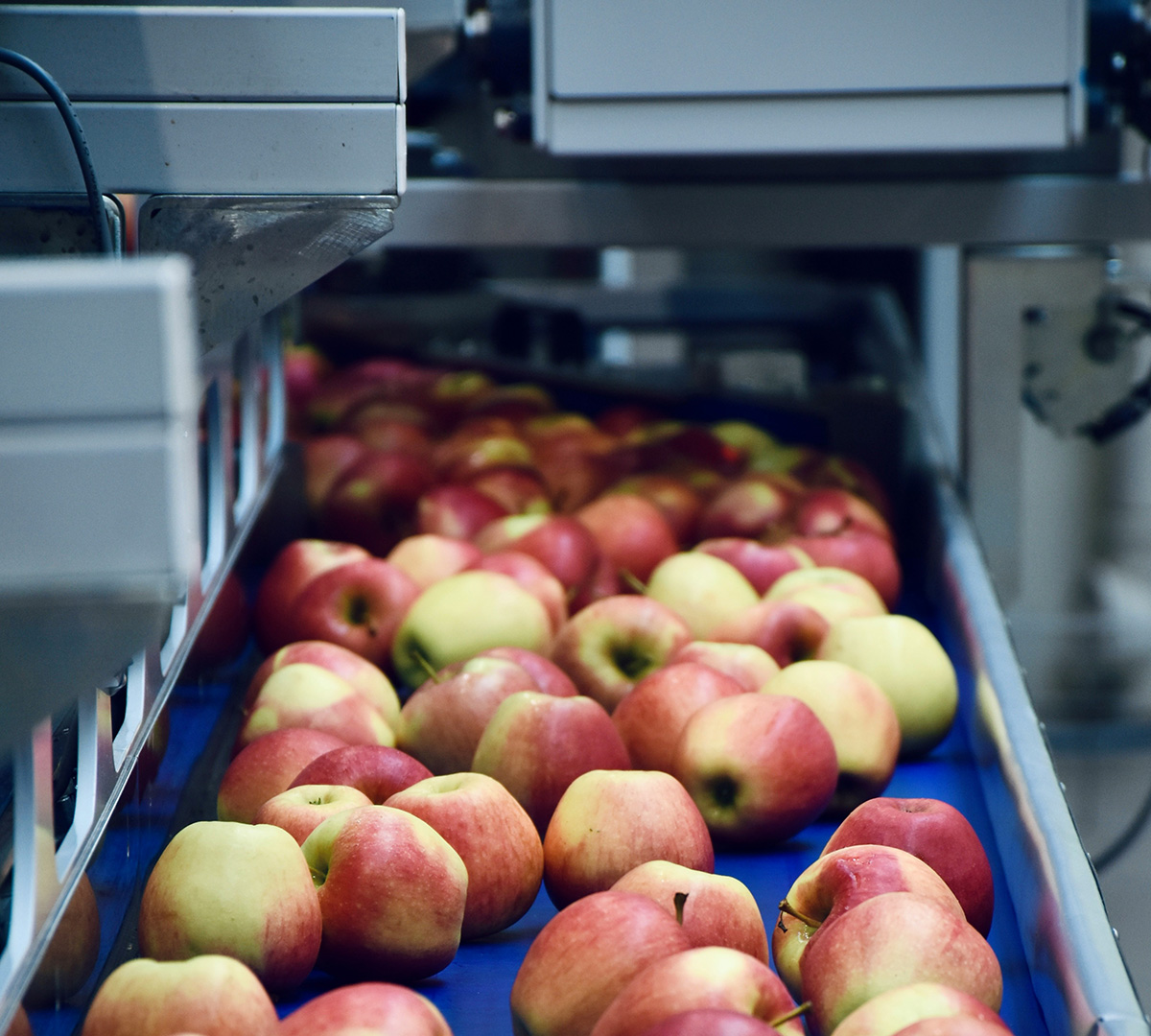 food-industry